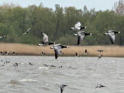 IMG-20260424-WA0004