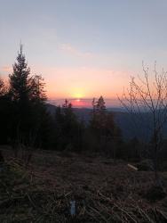 IMG_20200411_200301_8