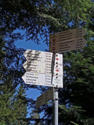 IMG_20200414_120926_9