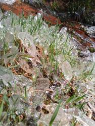 IMG_20200415_103718_9