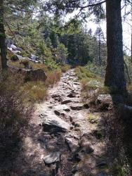 IMG_20200415_123932_7