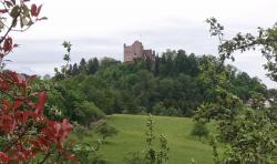 IMG_20200430_153729_4