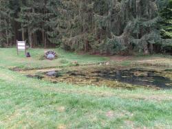 IMG_20200501_122809_9