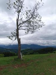 IMG_20200501_142754_1
