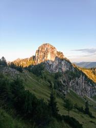 IMG_20200905_072012_6