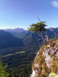 IMG_20200905_085442_6