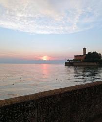 IMG_20200920_191420_5