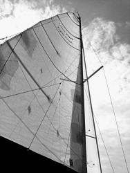 IMG_20200922_123838_1