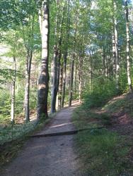 IMG_20201003_082424_0