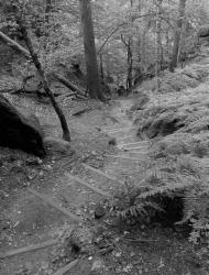 IMG_20201003_100222_3-2