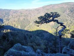 IMG_20210509_080309