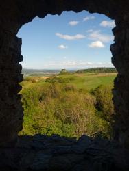 IMG_20210525_173231_0