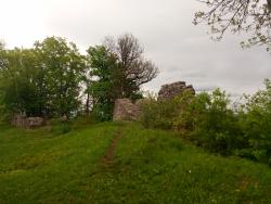 IMG_20210526_150530_3