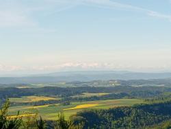 IMG_20210528_085119_4