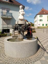 IMG_20210528_103355_5