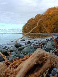 IMG_20231101_104916_488