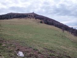 IMG_20240331_105935