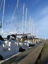 IMG_20240422_081907_183