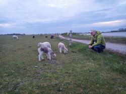 IMG_20240427_202502