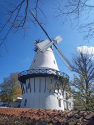 IMG_20240429_112908