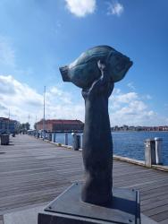IMG_20240429_114805