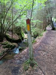 IMG_20240505_135339_417