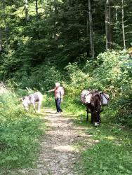IMG_20240823_124225_756