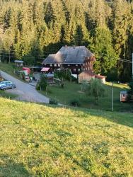 IMG_20240824_072610_552