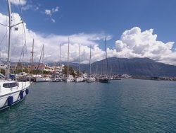 IMG_20250403_121645