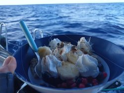 IMG_20250405_090729