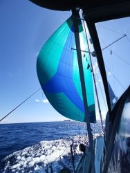 IMG_20250405_113641_111