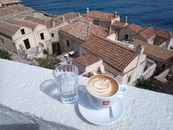 IMG_20250408_154504