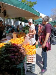 IMG_20250412_120633_857