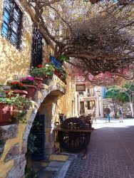 IMG_20250413_164424