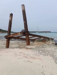 IMG_20250415_150142_193