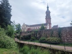 IMG_20250529_144647