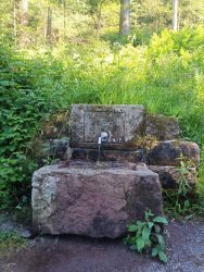 IMG_20250530_173949