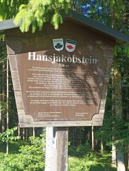 IMG_20250531_092513