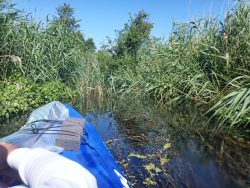 IMG_20250628_103336