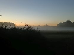 IMG_20250630_225052_478
