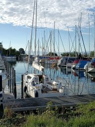 IMG_20250805_080409_430
