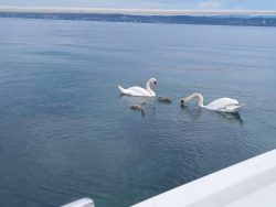 IMG_20250805_114020