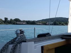 IMG_20250807_123511_814