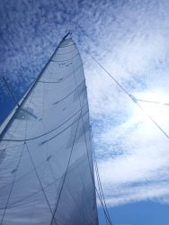 IMG_20250807_161649