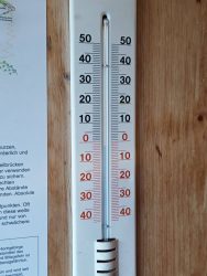 IMG_20251003_073355