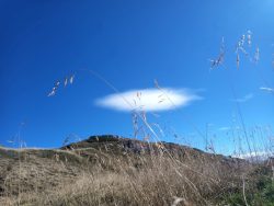 IMG_20251004_131854