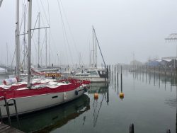 IMG_3325